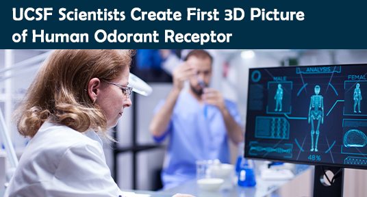 UCSF Scientists Create First 3D Picture of Human Odorant Receptor