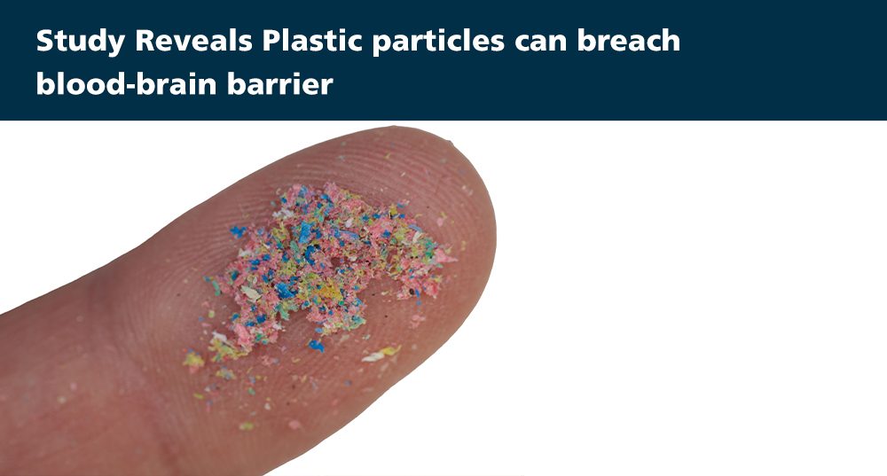 Study Reveals Plastic particles can breach blood-brain barrier