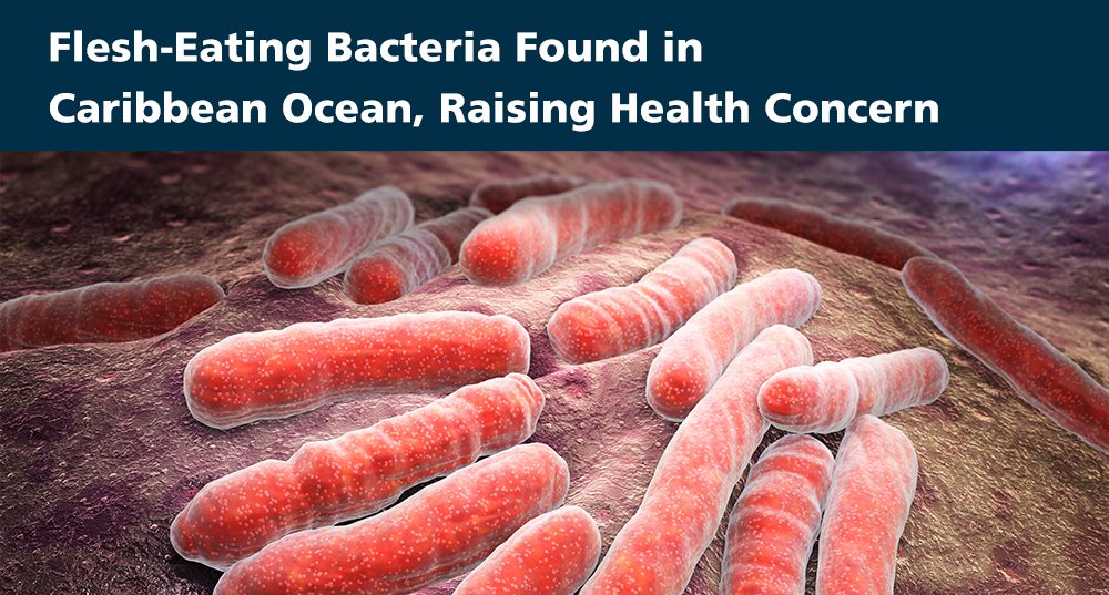 Flesh-Eating Bacteria Found in Caribbean Ocean, Raising Health Concern