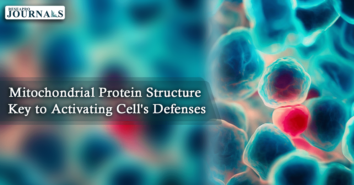 Mitochondrial Protein Structure Key to Activating Cell’s Defenses