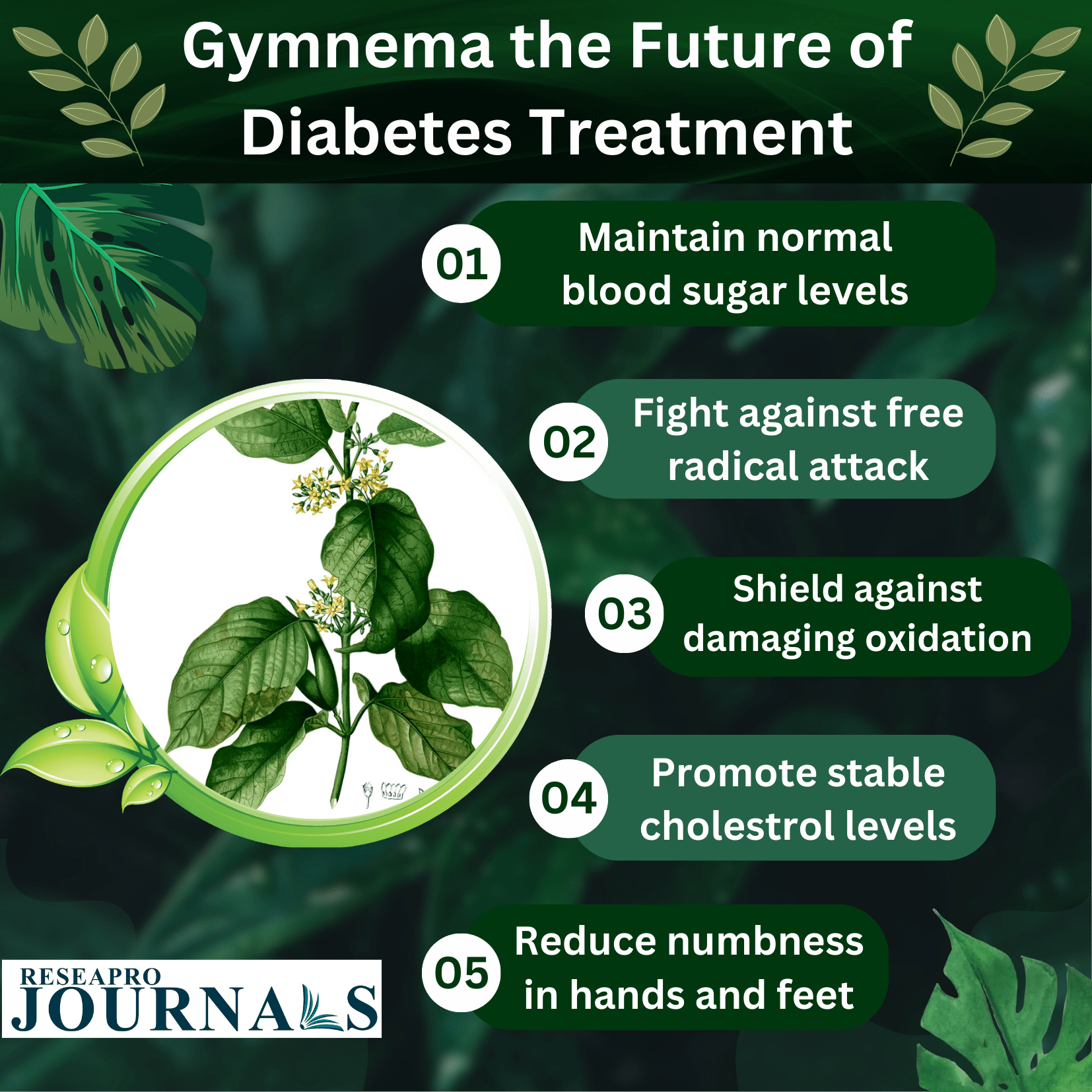 Gymnema the future of diabetes treatment