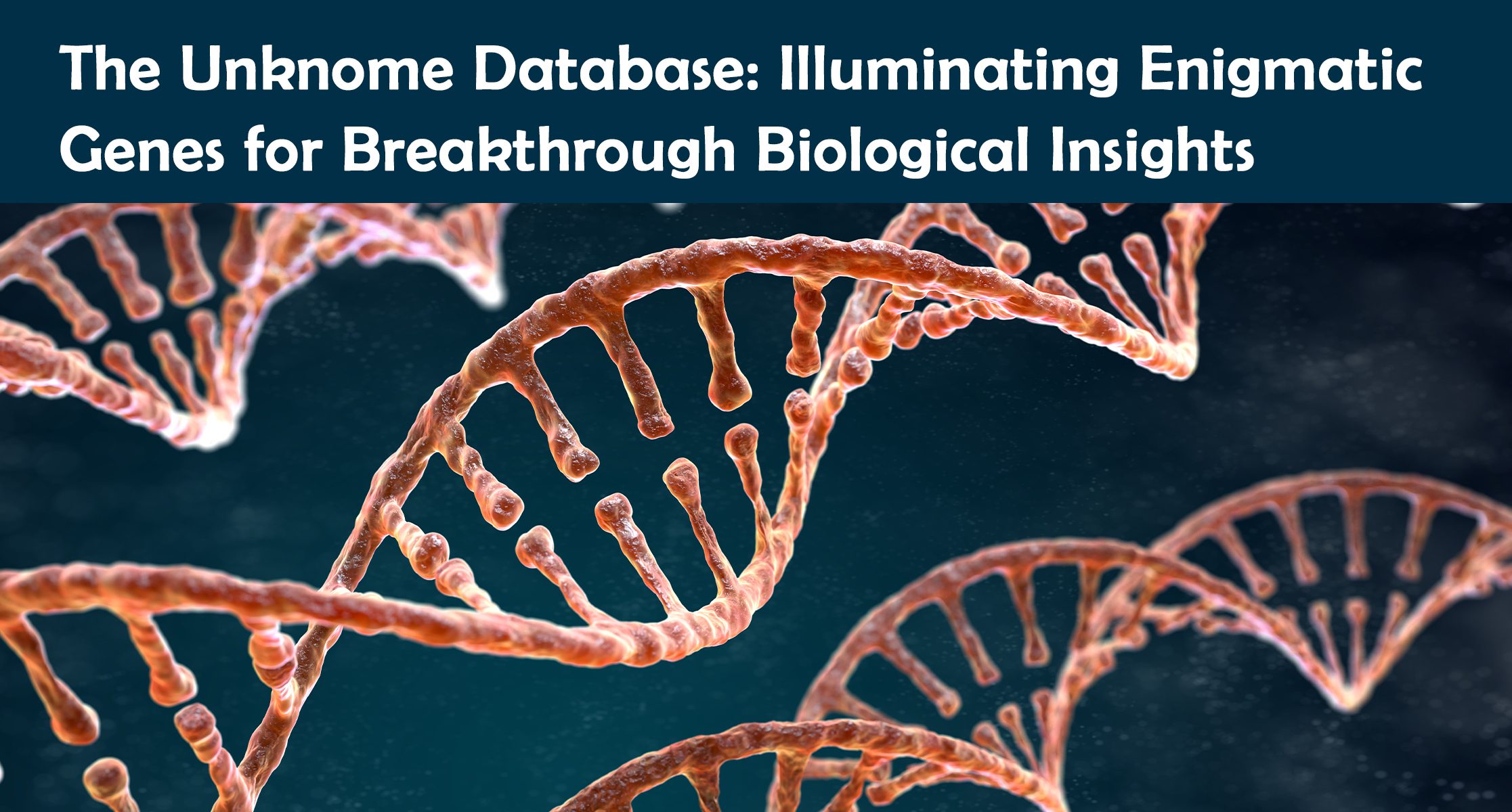 The Unknome Database: Illuminating Enigmatic Genes for Breakthrough Biological Insights