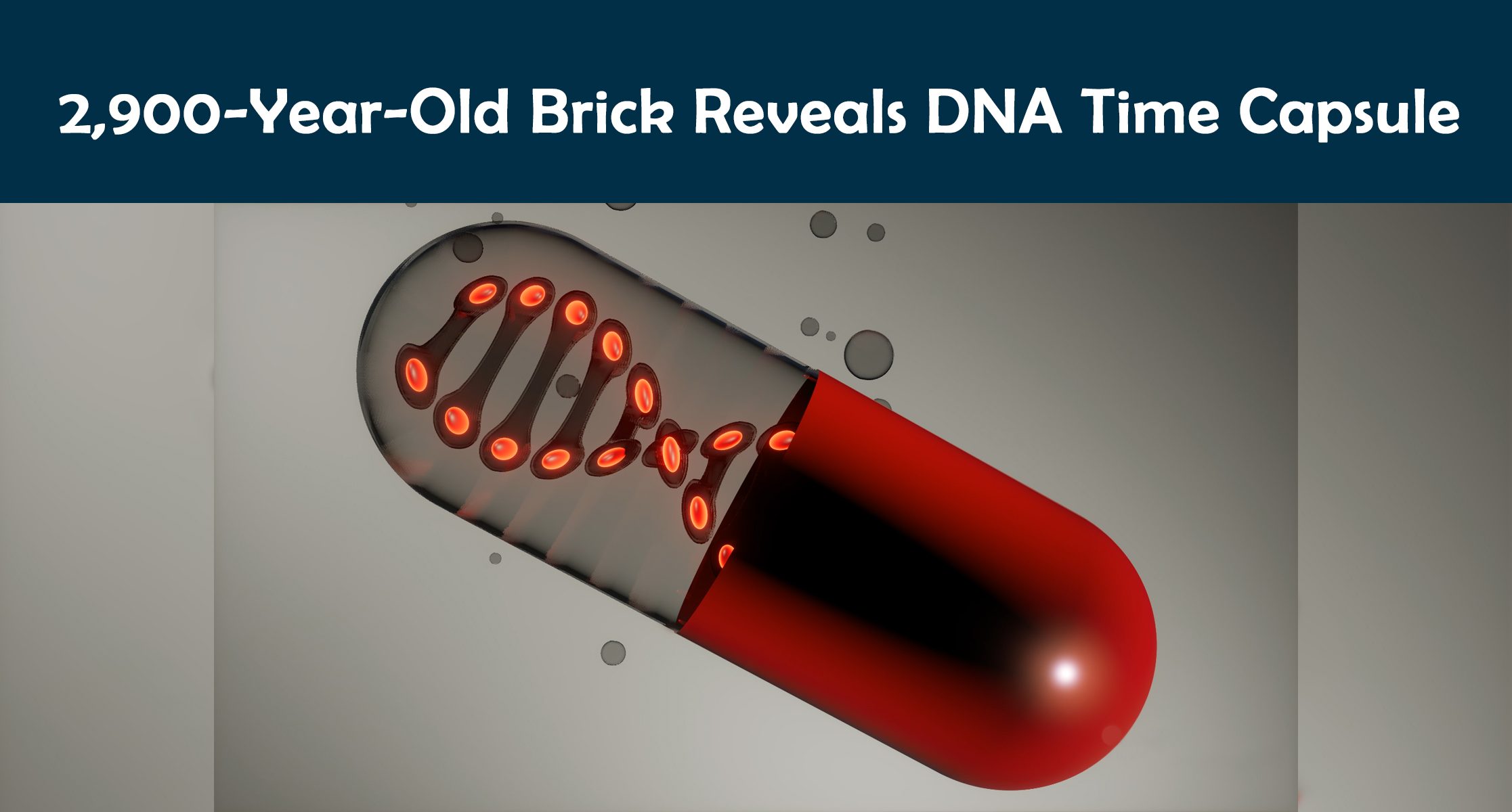 2,900-Year-Old Brick Reveals DNA Time Capsule
