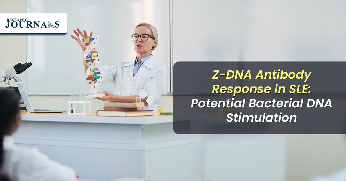 Z-DNA Antibody Response in SLE: Potential Bacterial DNA Stimulation