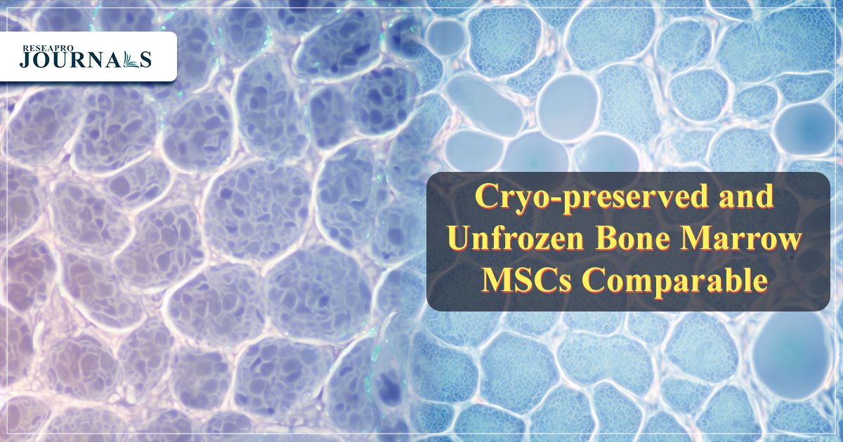 Cryo-preserved and Unfrozen Bone Marrow MSCs Comparable