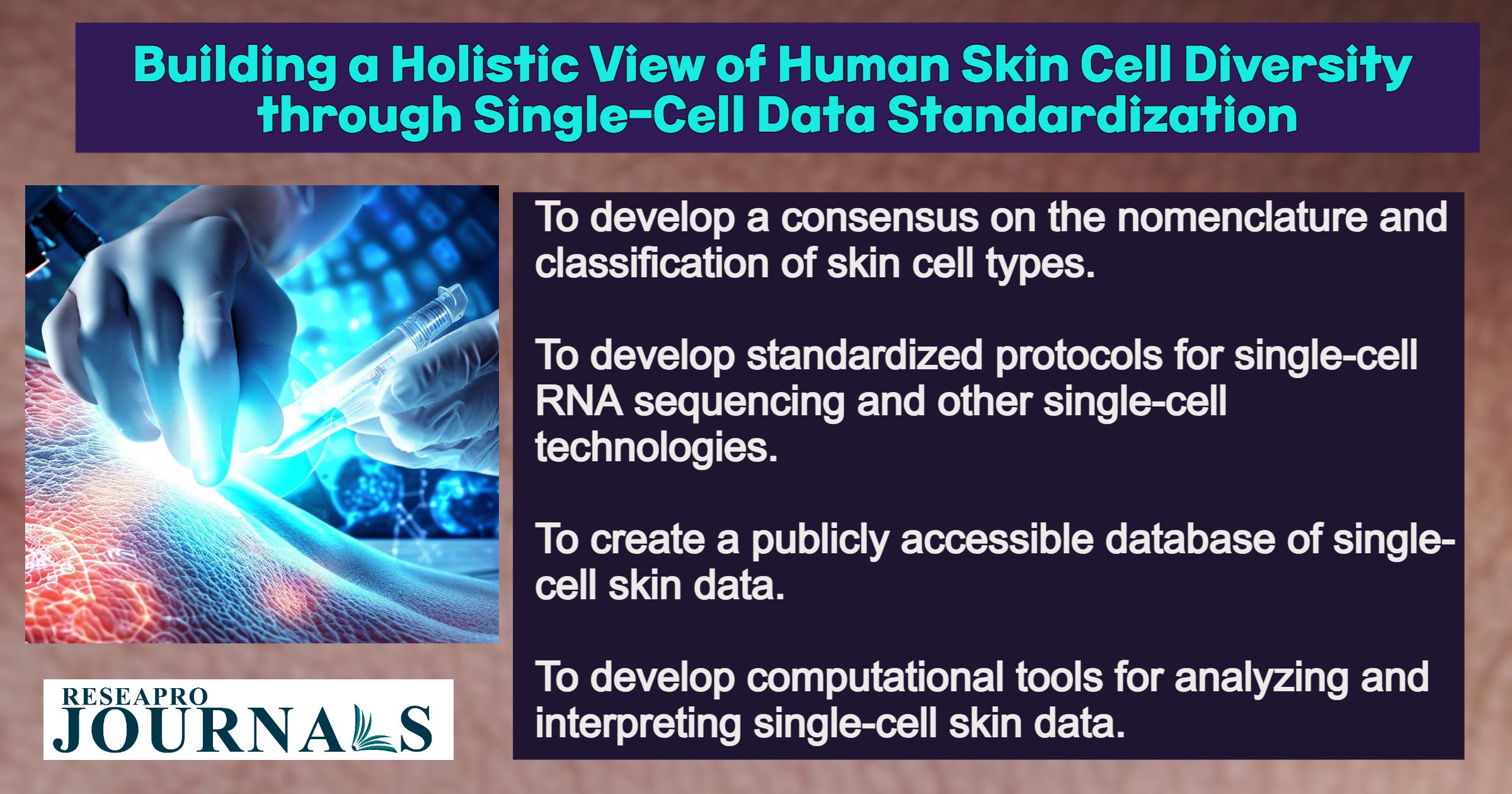 Building a holistic view of human skin cell diversity through single cell data standardization
