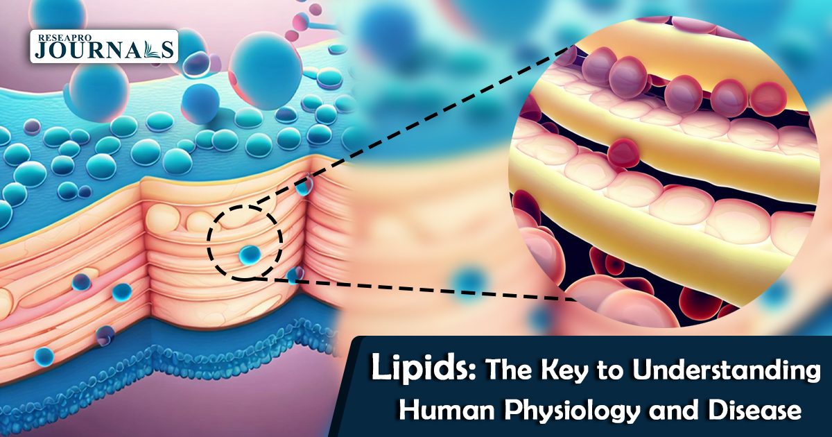 Lipids: The Key to Understanding Human Physiology and Disease