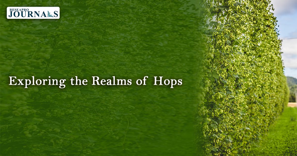 Exploring the Realms of Hops