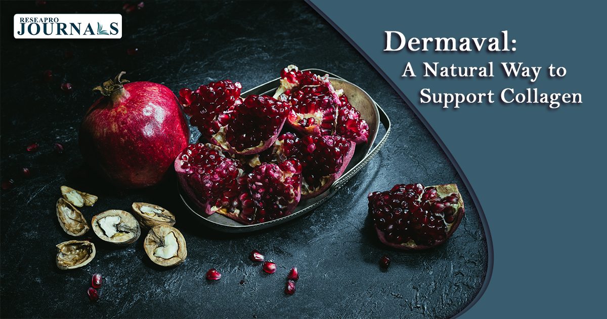 Dermaval: A Natural Way to Support Collagen