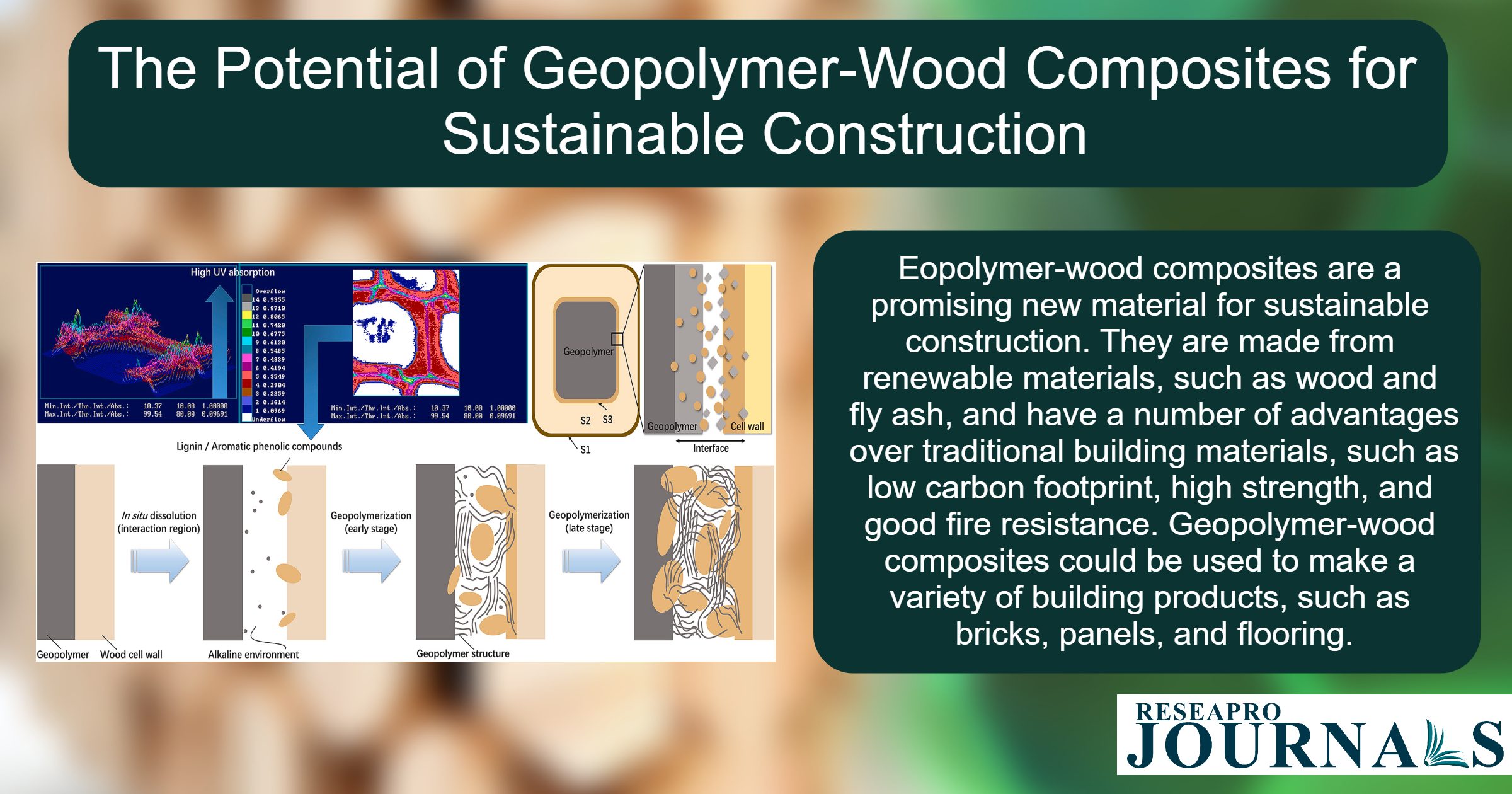 The potential of geopolymer-wood composites for sustainable constructions