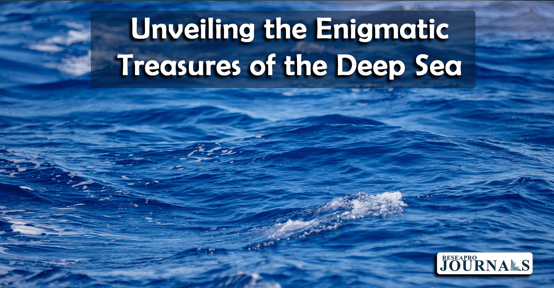 Unveiling the Enigmatic Treasures of the Deep Sea