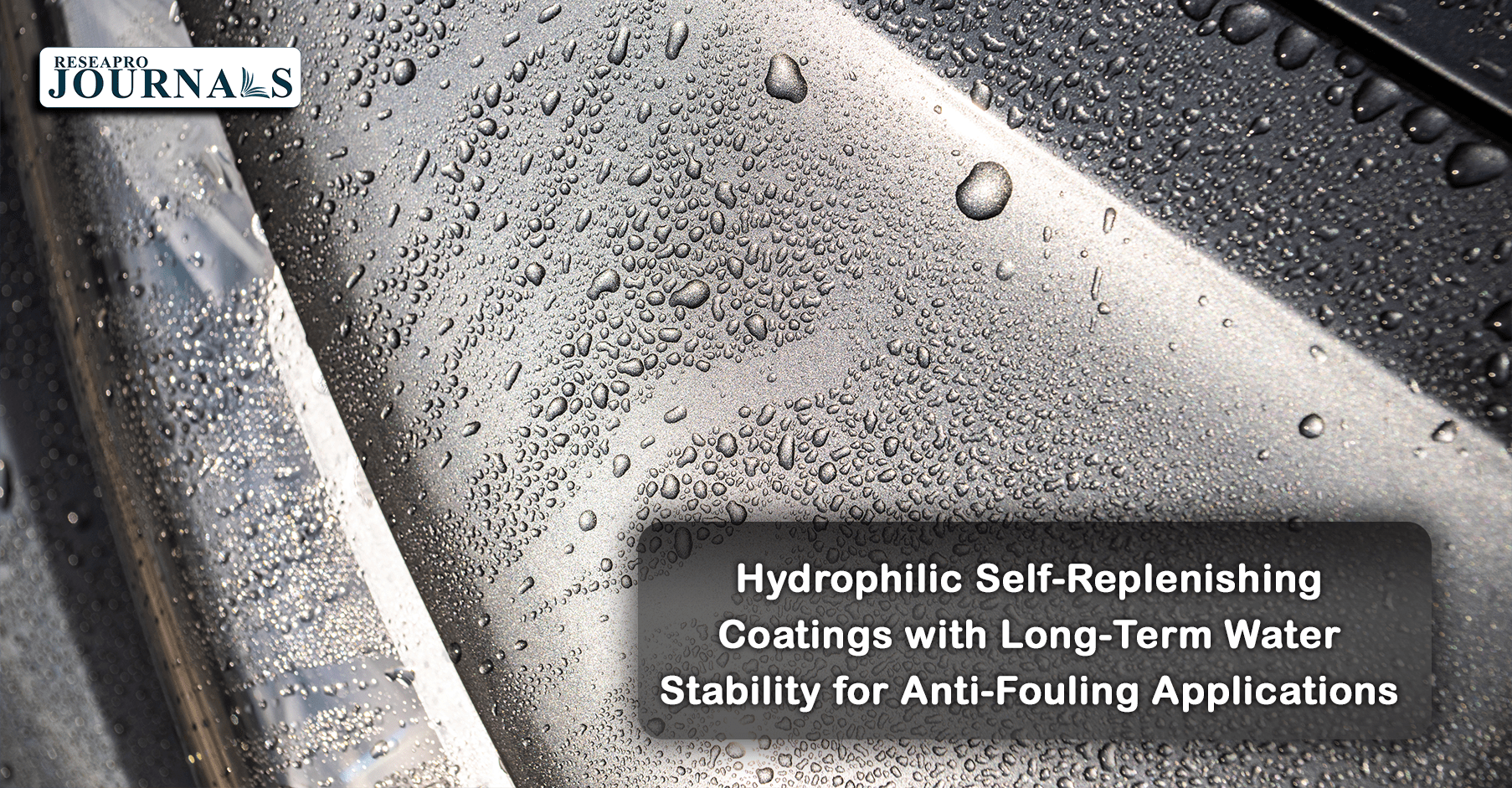 Hydrophilic Self-Replenishing Coatings with Long-Term Water Stability for Anti-Fouling Applications