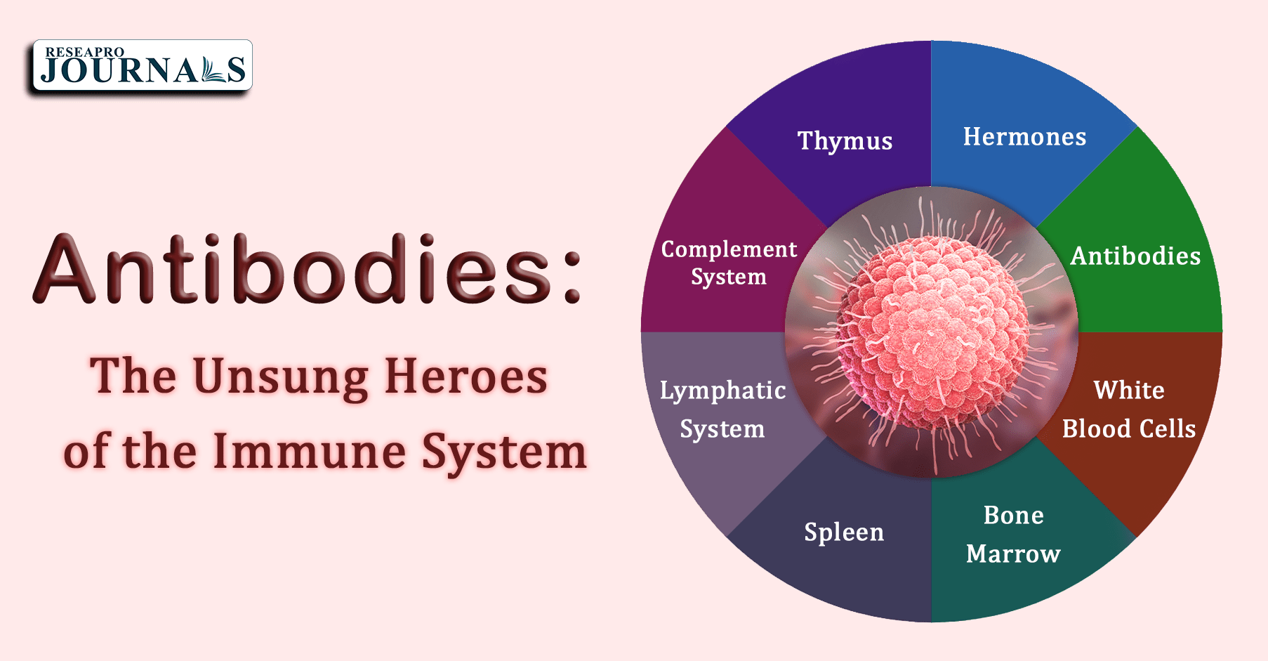 Antibodies: The Unsung Heroes of the Immune System