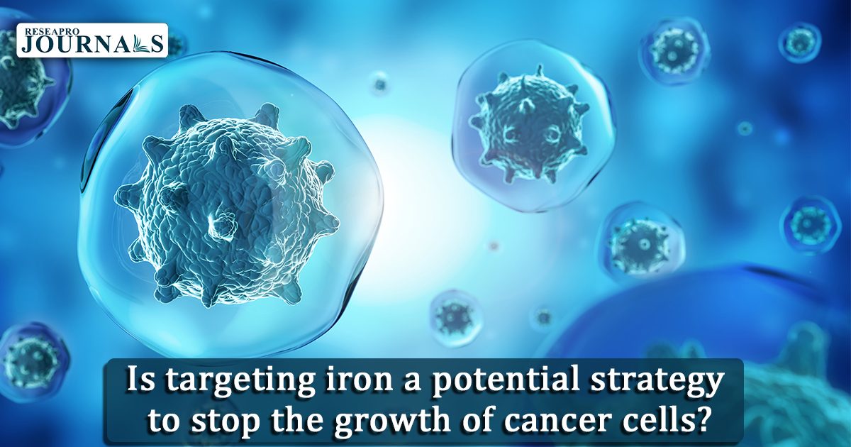 Breaking News: Iron-Targeting Breakthrough Could Halt Cancer Cell Growth!