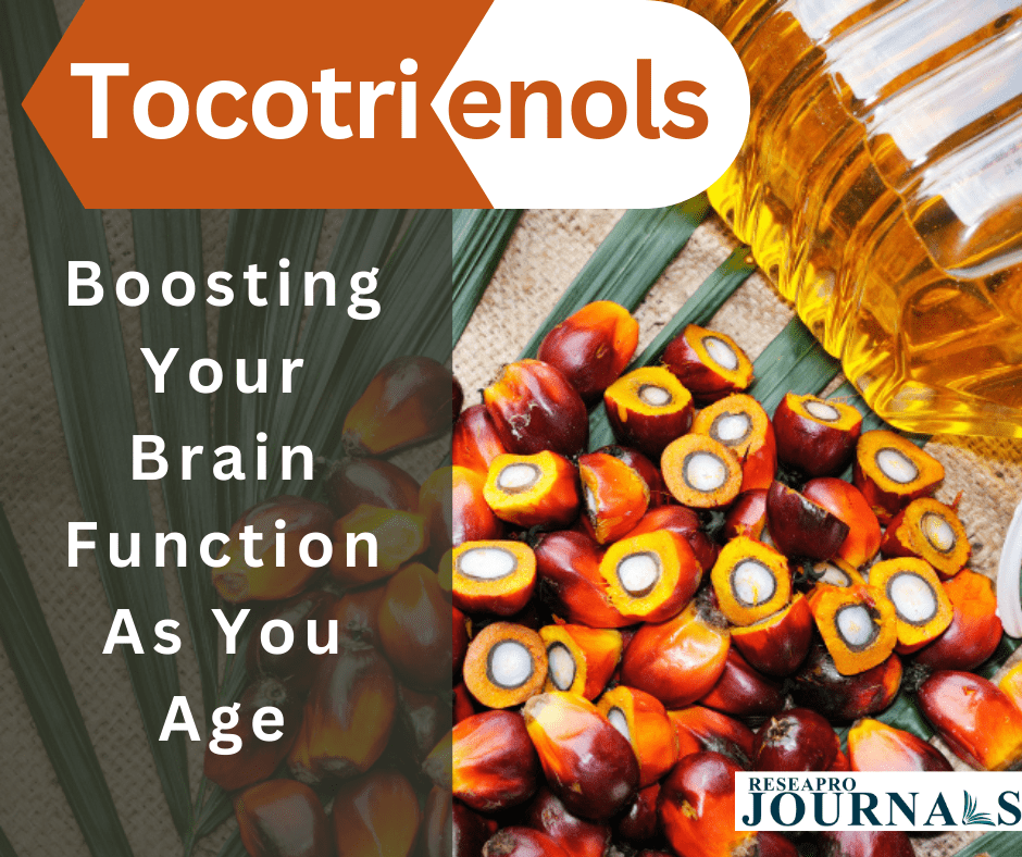 Tocotrienols Boosting Your Brain Function As You Age