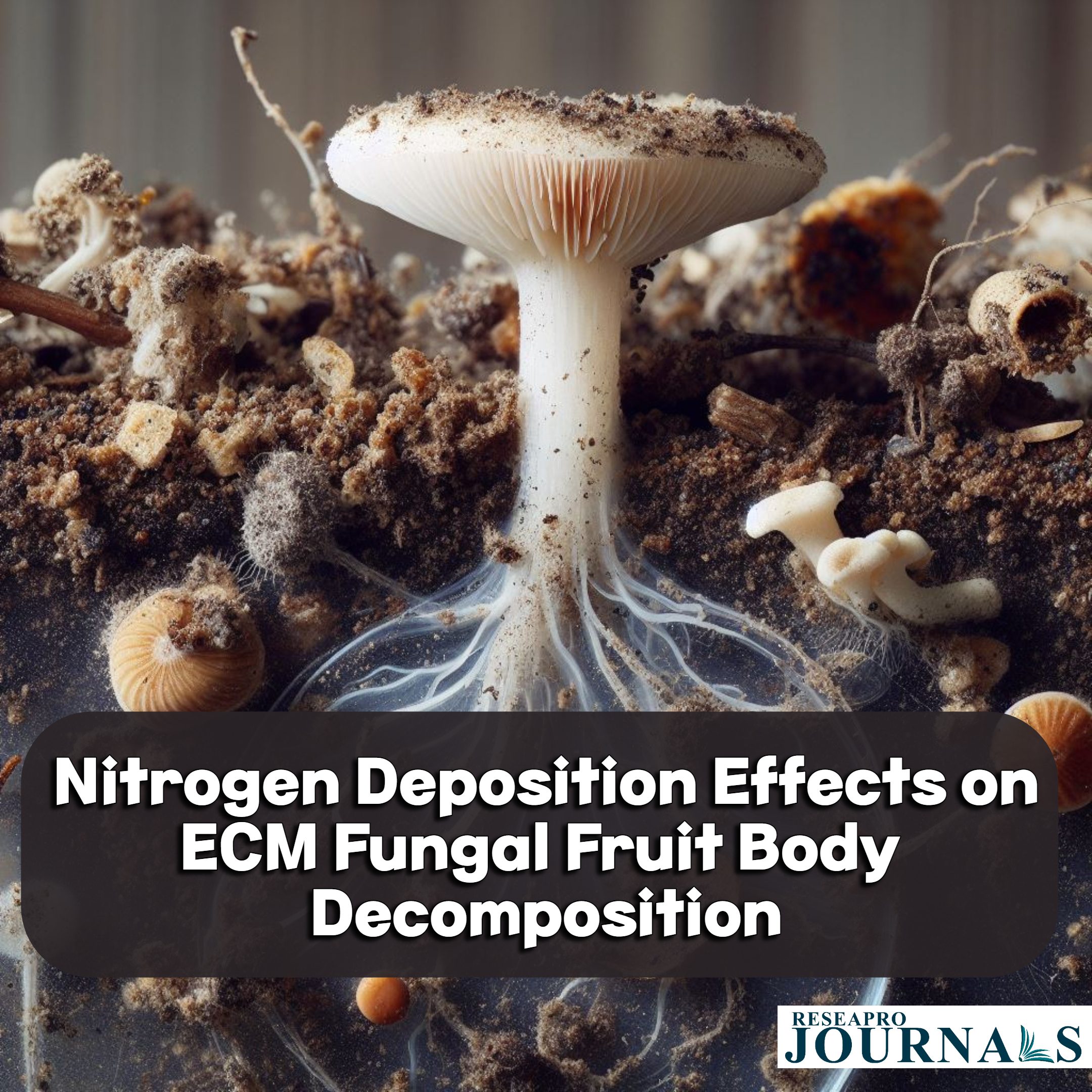 Nitrogen Deposition Effects on ECM Fungal Fruit Body Decomposition