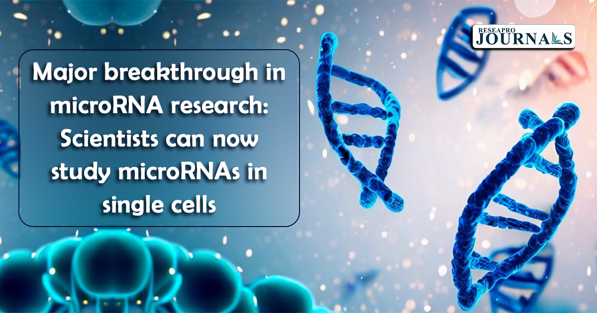 Major breakthrough in microRNA research: Scientists can now study microRNAs in single cells