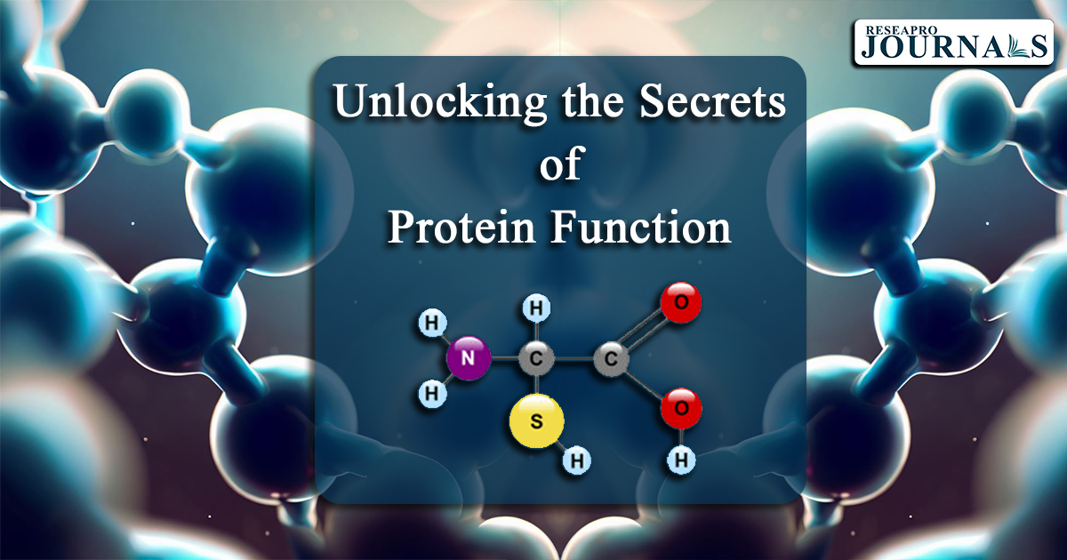 Unlocking the secrets of Protein function: Scientists Develop New Toolkit to Help Researchers Predict Protein Behaviour