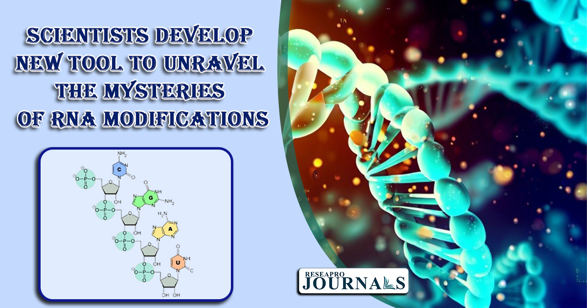 Scientists Develop New Tool to Unravel the Mysteries of RNA Modifications