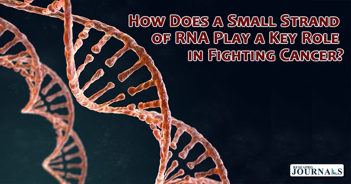 Unlocking Cancer-Fighting Secrets: The Small but Mighty let-7 RNA