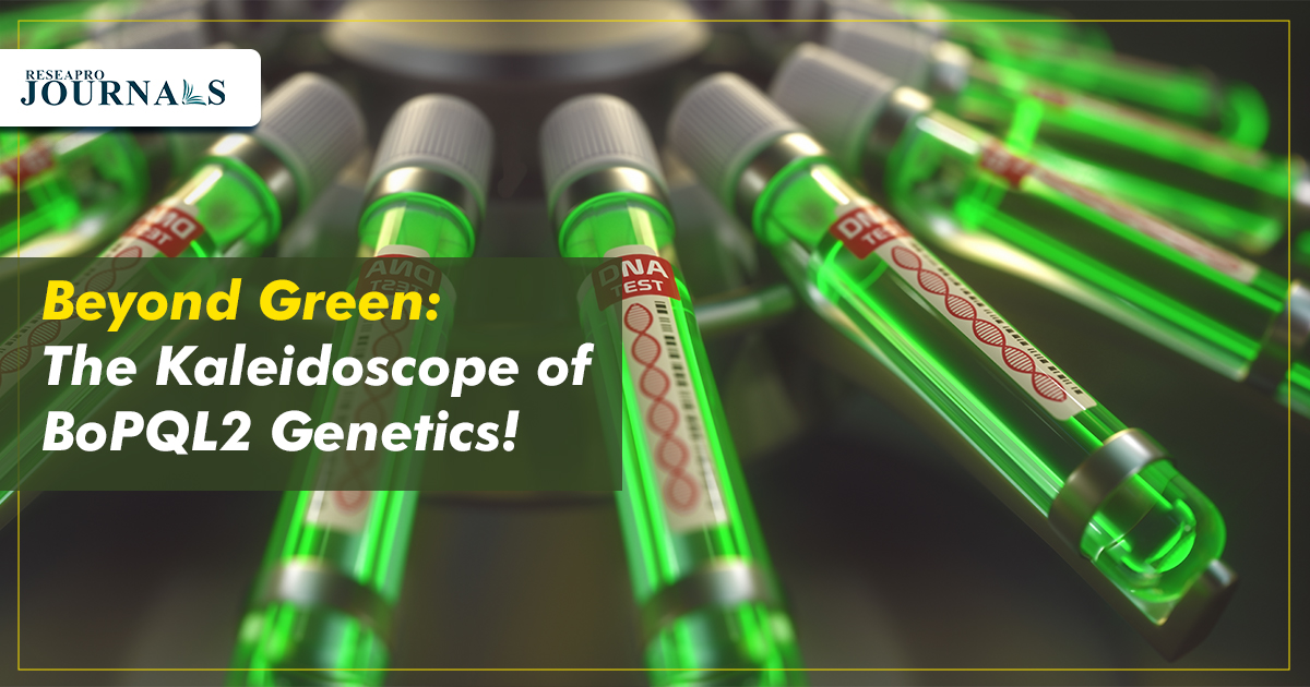 Beyond Green: The Kaleidoscope of BoPQL2 Genetics!
