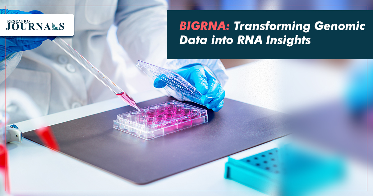 BigRNA: Transforming Genomic Data into RNA Insights