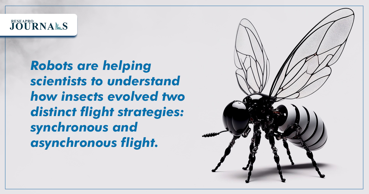 Robots are helping scientists to understand how insects evolved two distinct flight strategies: synchronous and asynchronous flight.