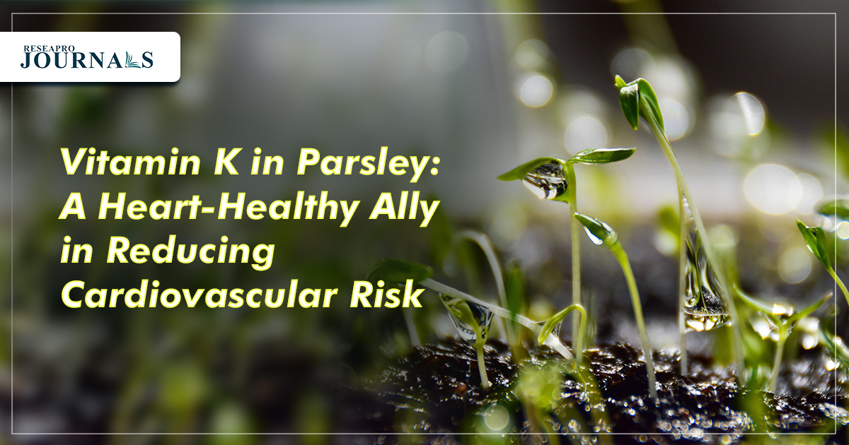 Vitamin K in Parsley: A Heart-Healthy Ally in Reducing Cardiovascular Risk