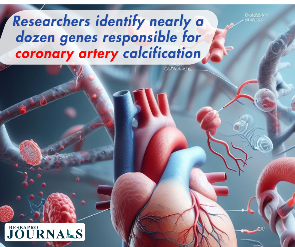 Researchers identify nearly a dozen genes responsible for coronary artery calcification
