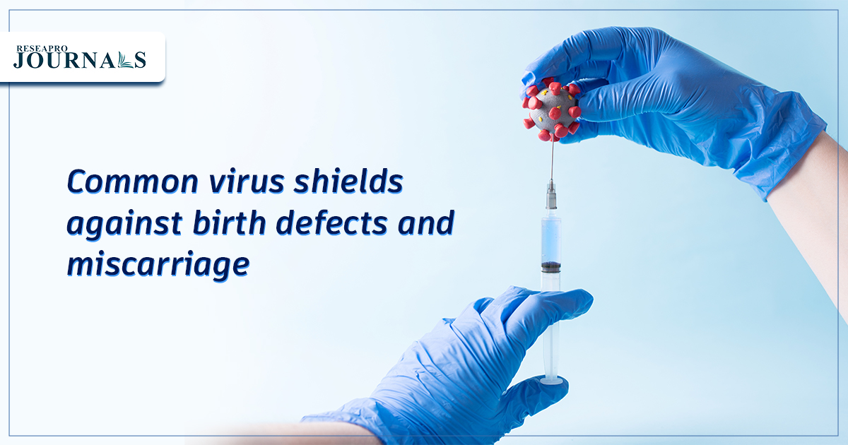 Common virus shields against birth defects and miscarriage