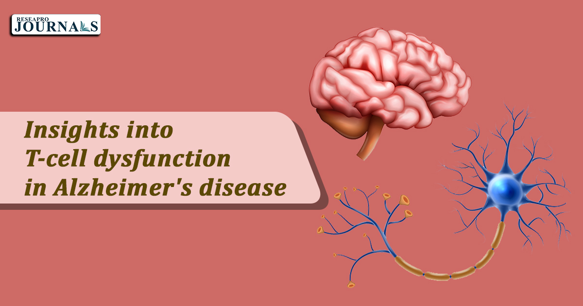 Insights into T‐cell dysfunction in Alzheimer’s disease