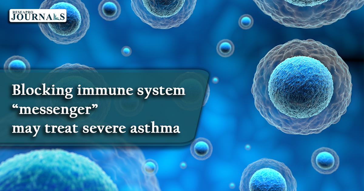 Blocking immune system ‘messenger’ may treat severe asthma