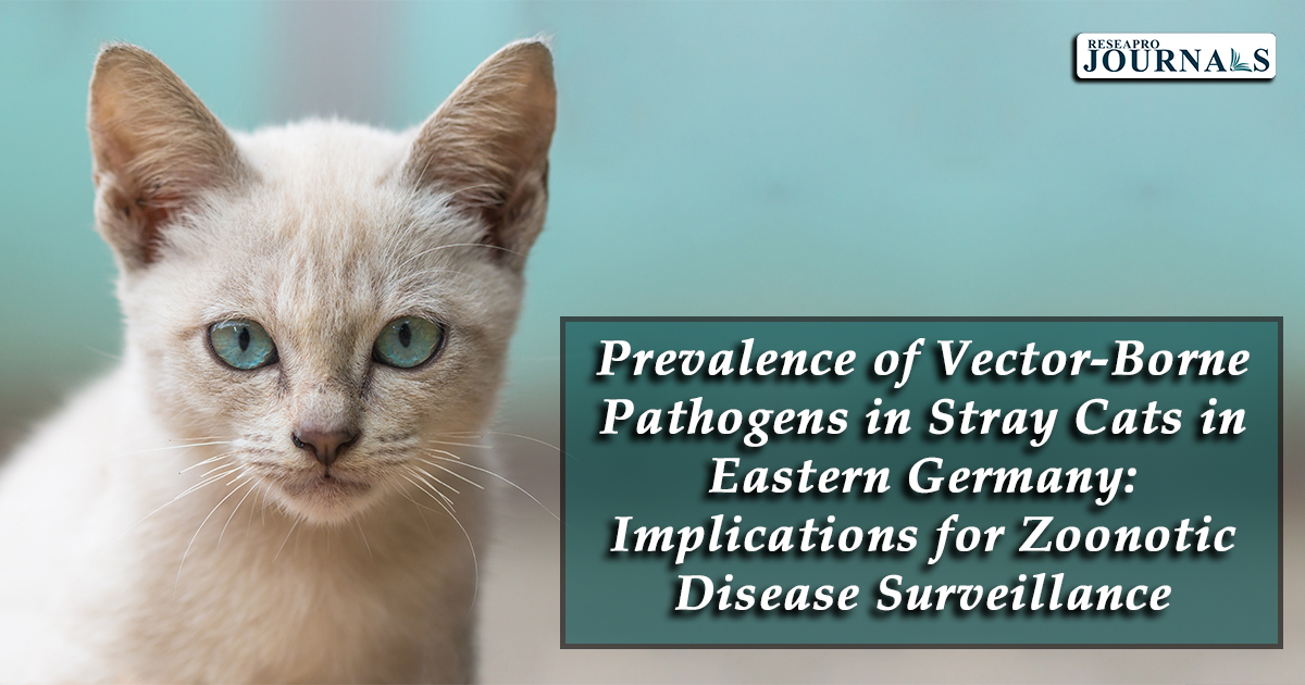 Prevalence of Vector-Borne Pathogens in Stray Cats in Eastern Germany: Implications for Zoonotic Disease Surveillance