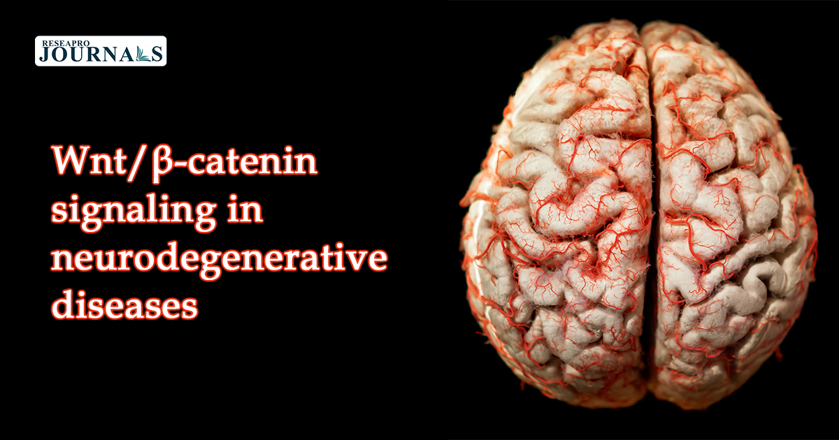 Wnt/β-catenin signaling in neurodegenerative diseases