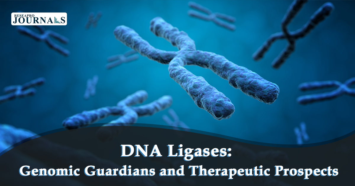 DNA Ligases: Genomic Guardians and Therapeutic Prospects