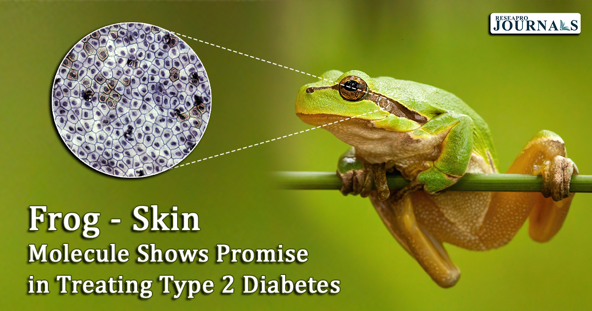 Frog Skin Molecule Shows Promise in Treating Type 2 Diabetes
