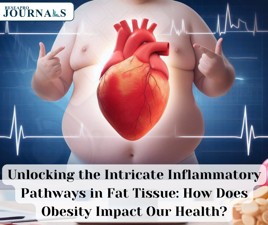 Unlocking the Intricate Inflammatory Pathways in Fat Tissue: How Does Obesity Impact Our Health?