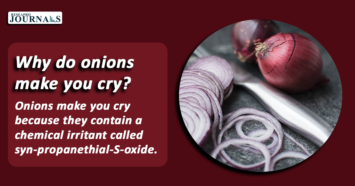 Why do onions make you cry?