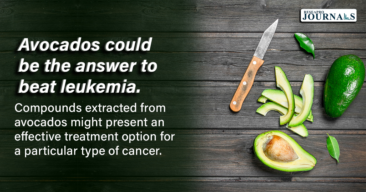 Avocados could be the answer to beat leukemia