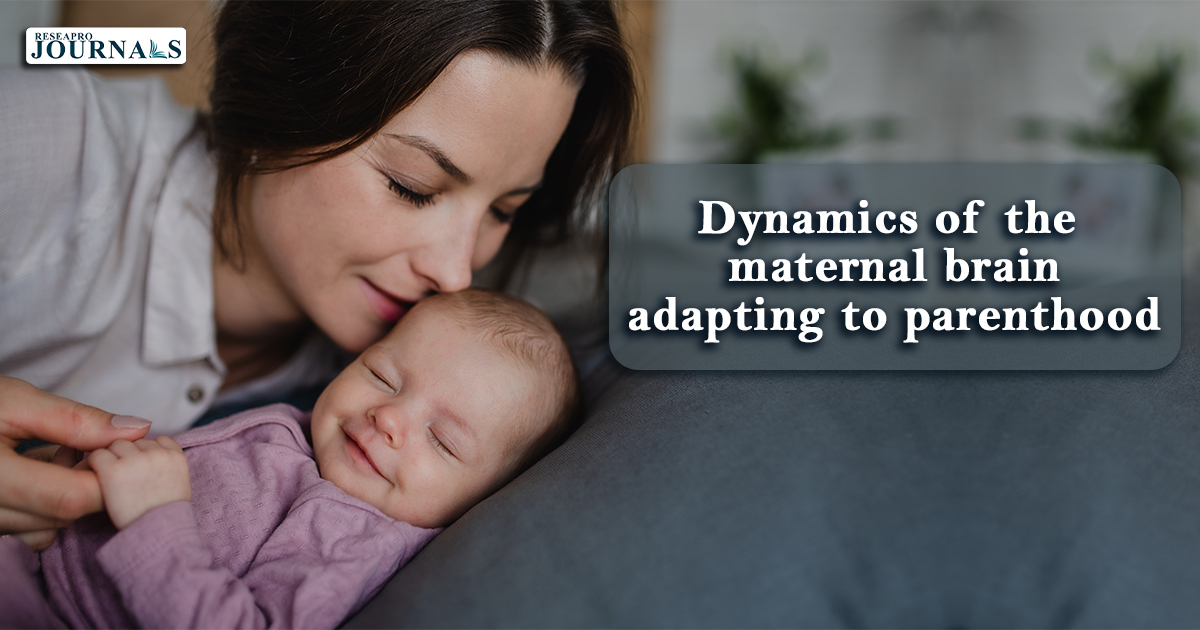 Dynamics of the maternal brain adapting to parenthood