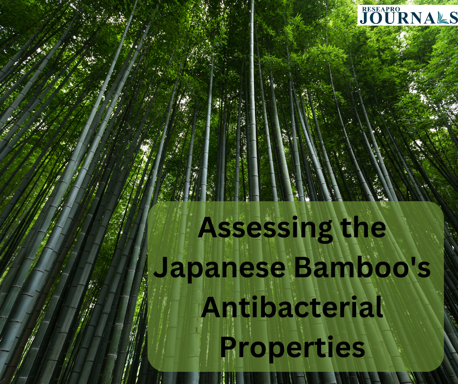 Assessing the Japanese Bamboo’s Antibacterial Properties