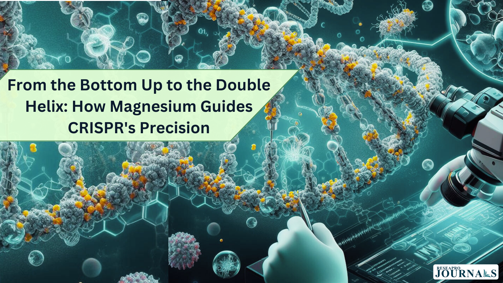 From the Bottom Up to the Double Helix: How Magnesium Guides CRISPR’s Precision