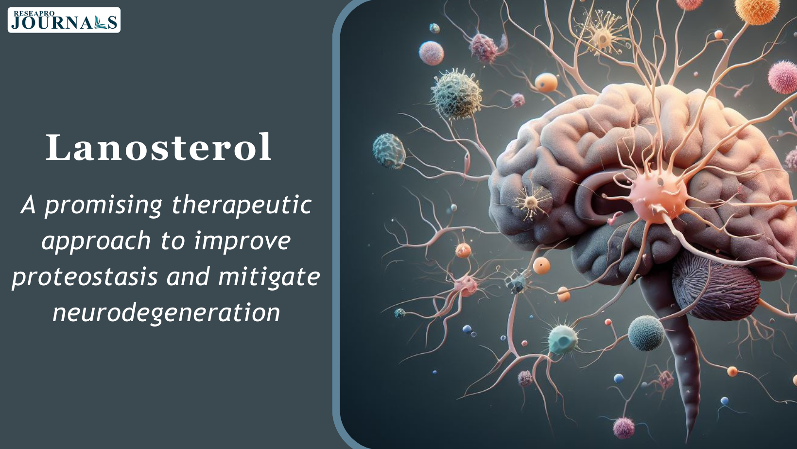 Lanosterol: A promising therapeutic approach to improve proteostasis and mitigate neurodegeneration