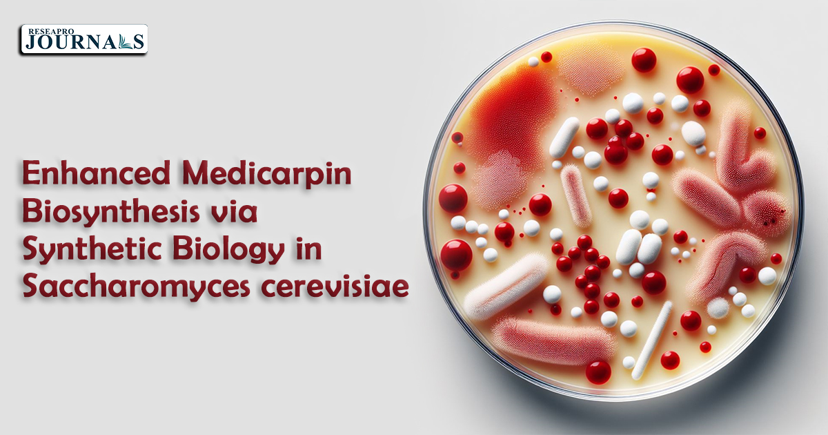 Enhanced Medicarpin Biosynthesis via Synthetic Biology in Saccharomyces cerevisiae