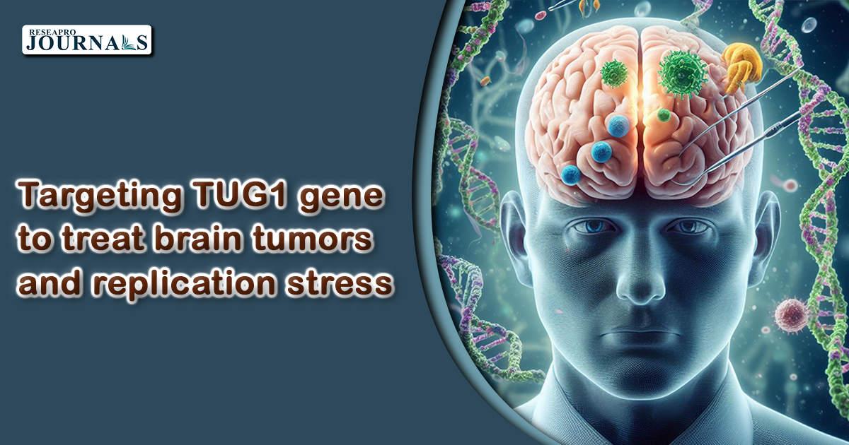 Targeting TUG1 gene to treat brain tumors and replication stress