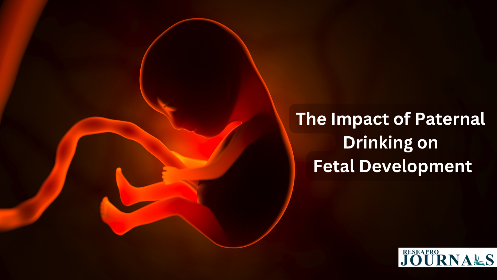 The Impact of Paternal Drinking on Fetal Development