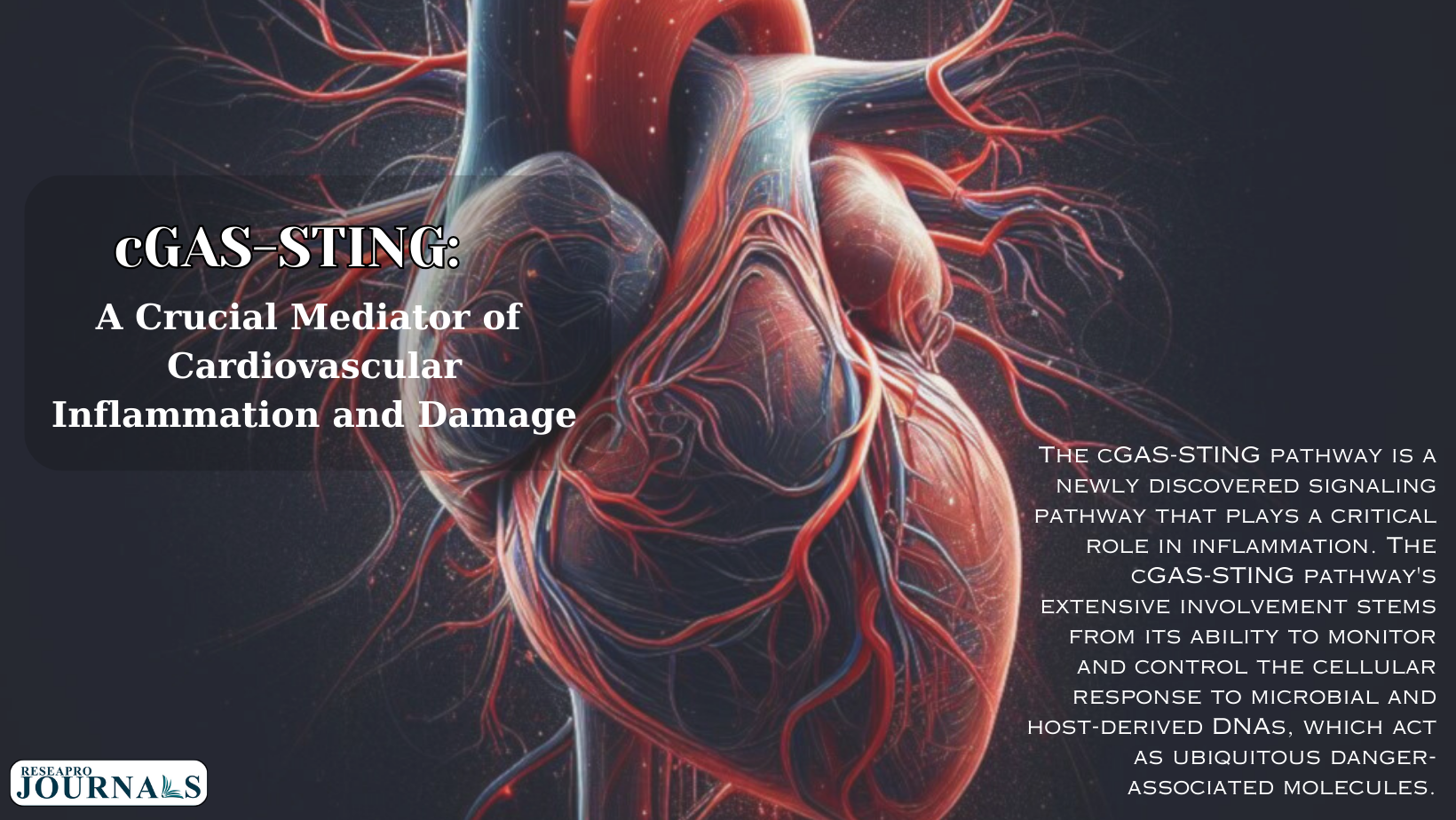 cGAS-STING Saga: Navigating the Intricacies of Cardiovascular Resilience