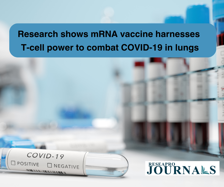 Research shows mRNA vaccine harnesses T-cell power to combat COVID-19 in lungs
