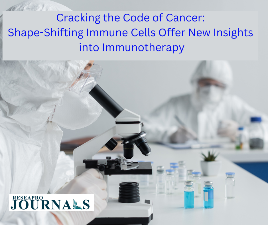 Cracking the Code of Cancer: Shape-Shifting Immune Cells Offer New Insights into Immunotherapy