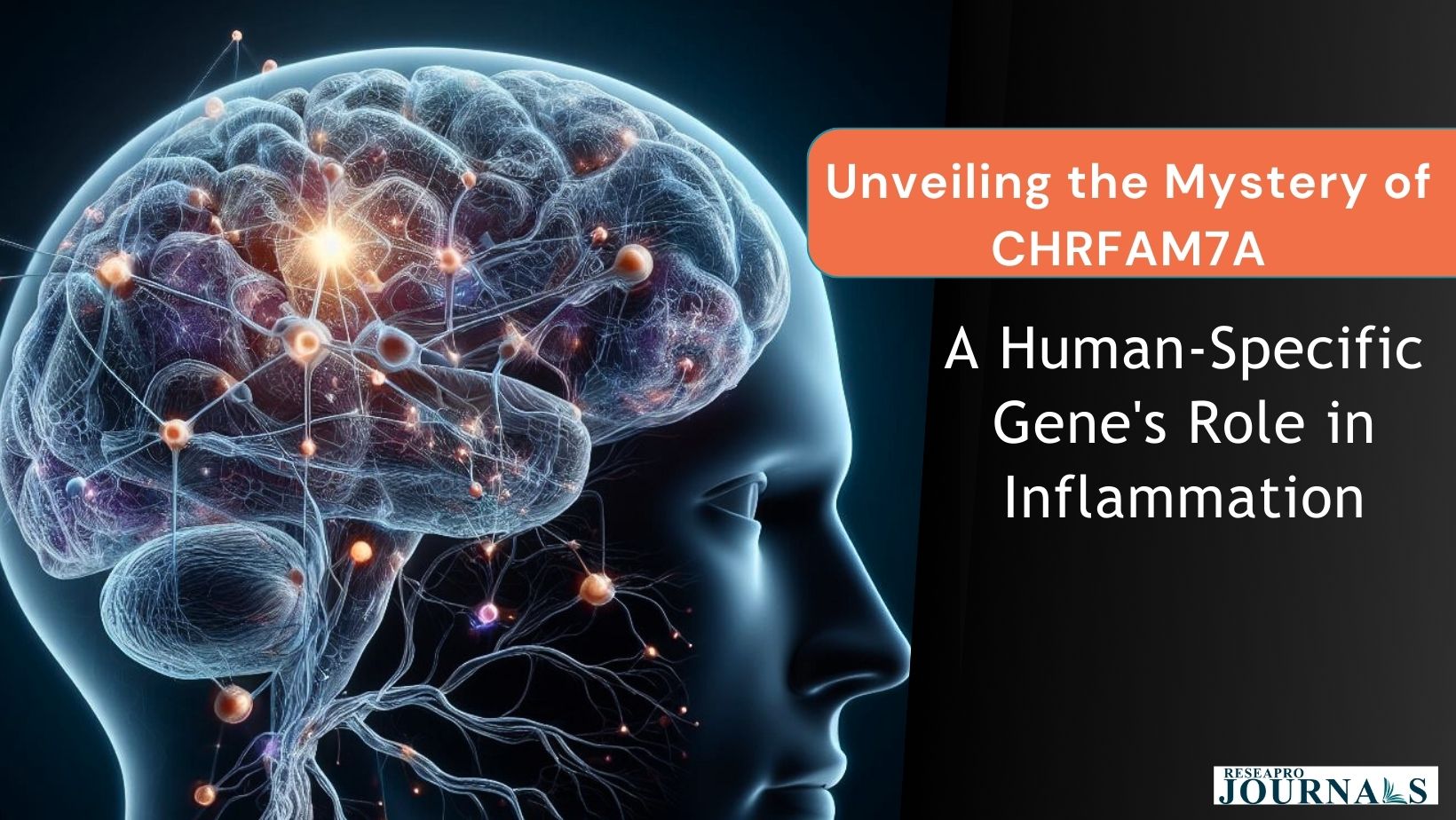 Unveiling the Mystery of CHRFAM7A: A Human-Specific Gene’s Role in Inflammation